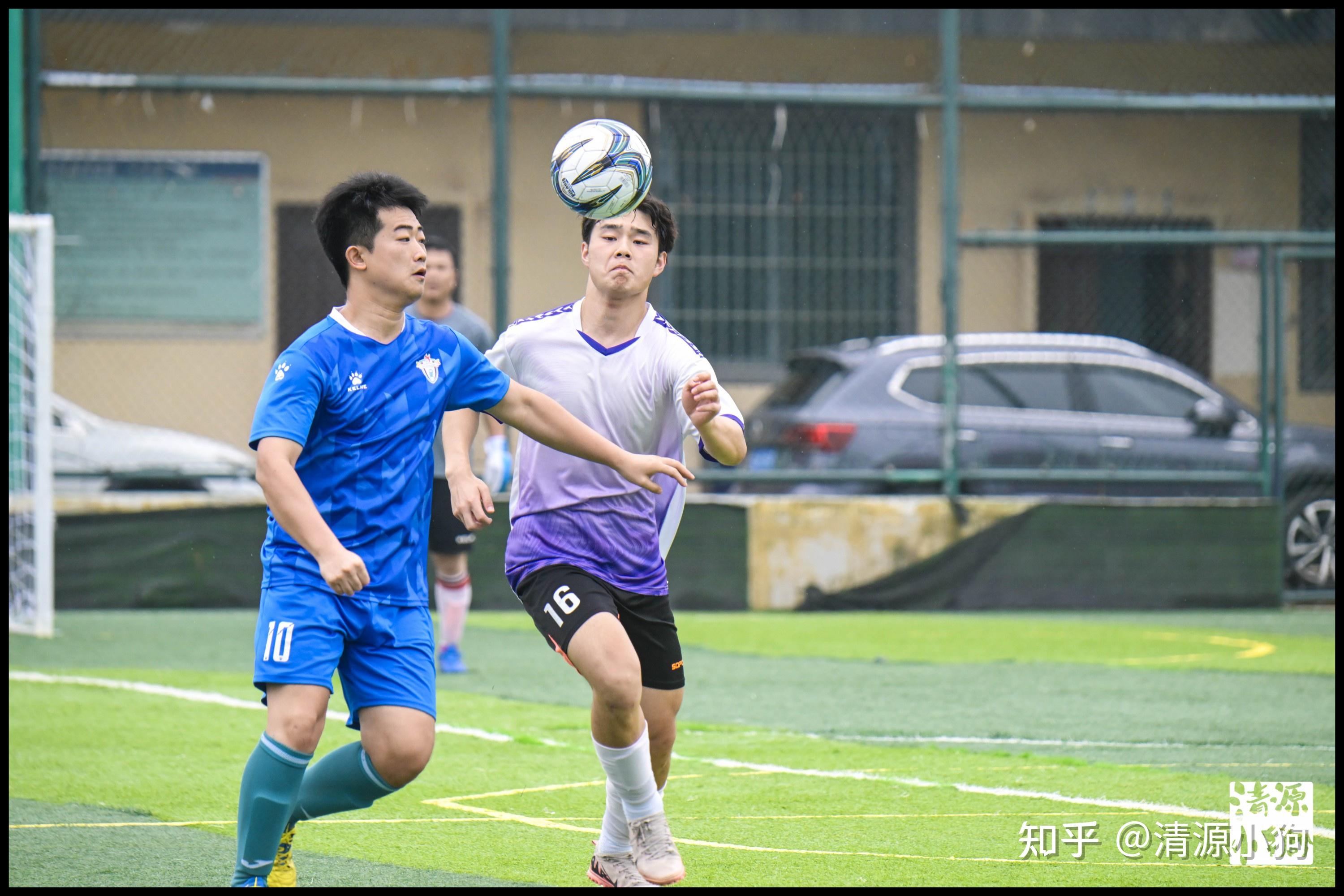 也是人类意 也是人类意