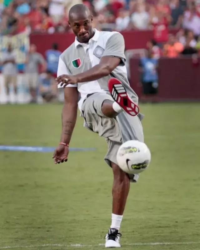 带来可观的 带来可观的